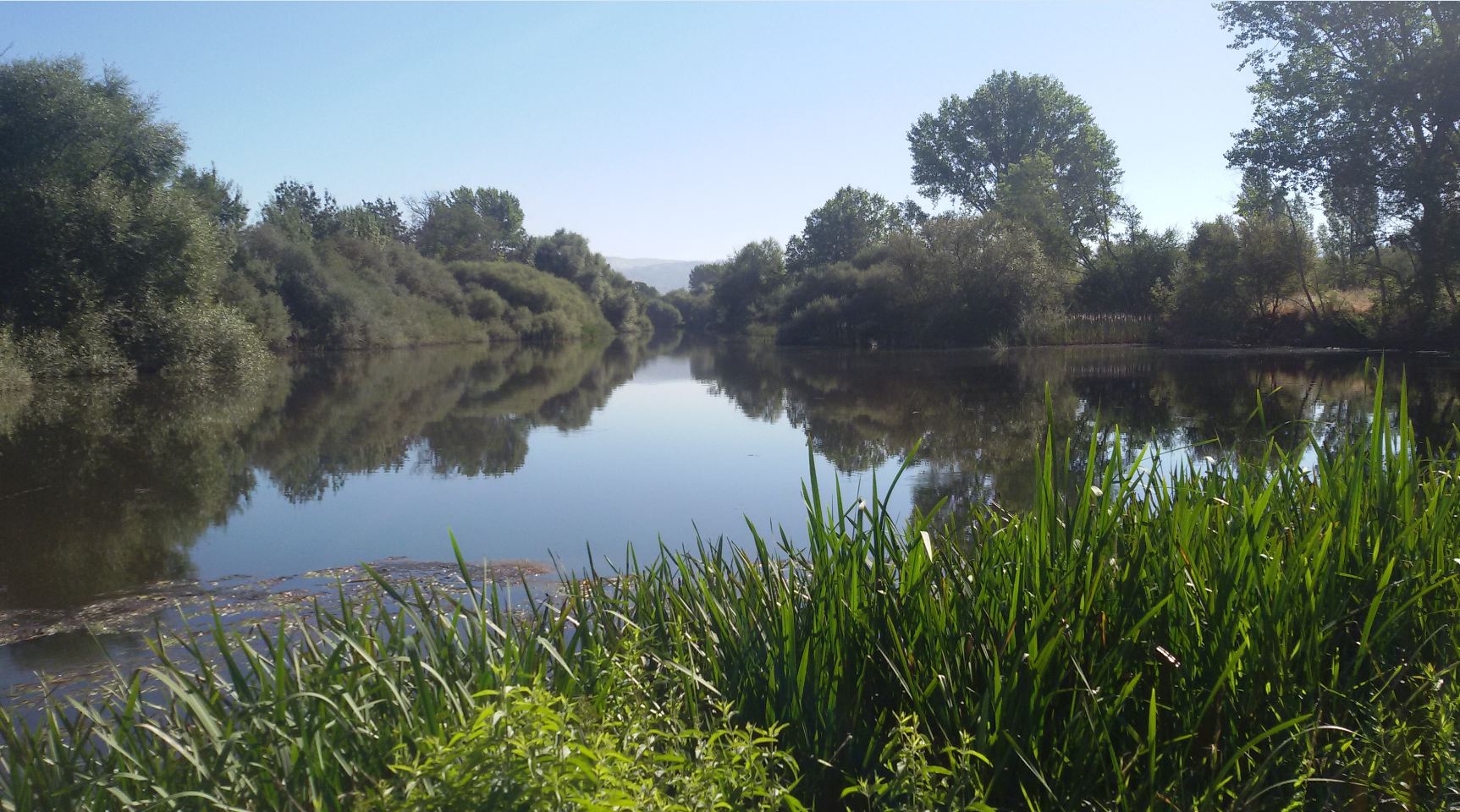 Rio Tâmega - lagoa secundária