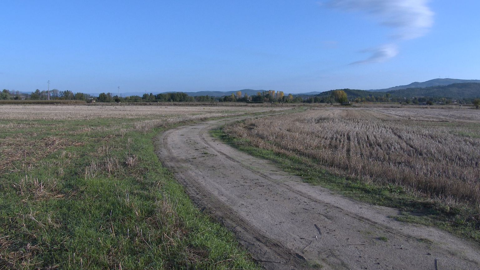 Campo de cultivo - margem esquerda do Tâmega